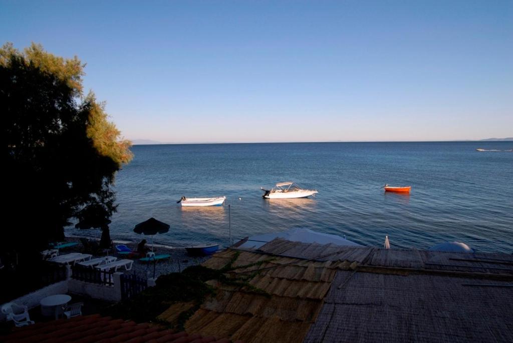 Penelope Hotel Pythagoreio (Samos)