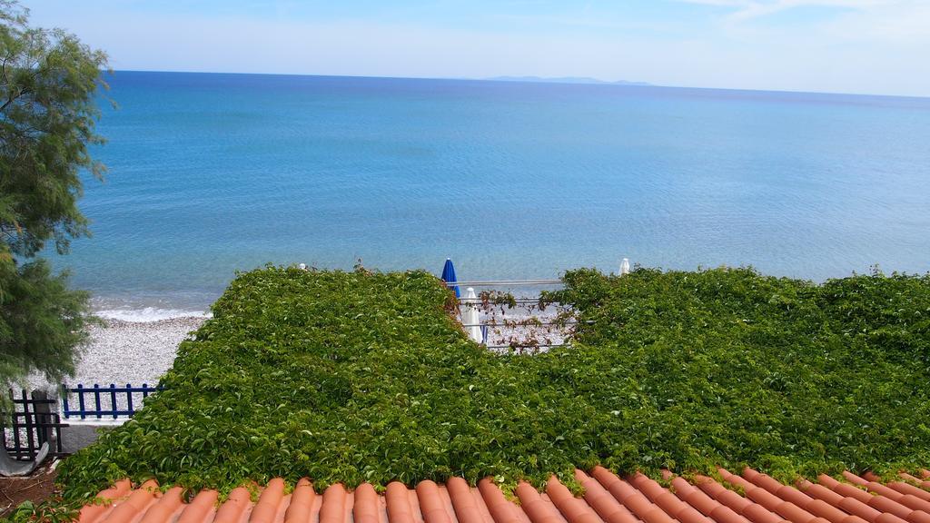 Penelope Hotel 3*